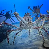 伊勢志摩の海 日本の海