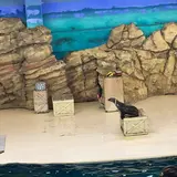 パフォーマンススタジアム