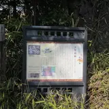 大學寮址