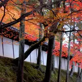 明暗寺