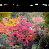 来迎院
