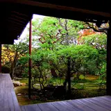 法音院