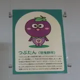 羽曳野市