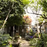 THE LITTLE SHOP OF FLOWERS/リトル