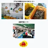おさかな村