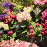 【閉業】青山フラワーマーケット渋谷東急東横店