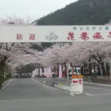 花巻温泉