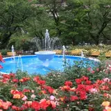花巻温泉バラ園
