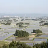 円万寺