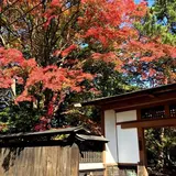 侍屋敷 大松沢家