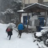 ビストロインえばーぐりーん