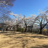 北山公園
