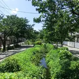 北沢川緑道