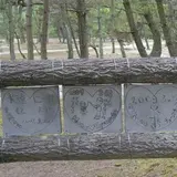 プロポーズ街道