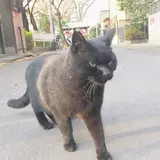 中央公園