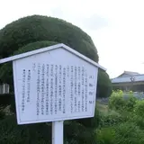 淡輪邸跡
