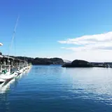 大島