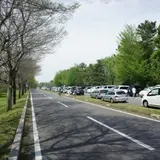 秋ケ瀬公園