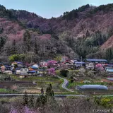 赤岩