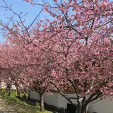 畑毛せせらぎ公園