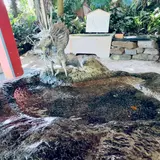 青島神社 手水舎