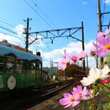 等持院西町