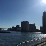 豊洲運河