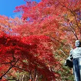 東郷公園 