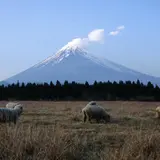 忠ちゃん牧場