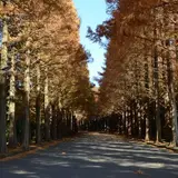 富士教育研修所