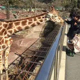 伊豆アニマルキングダム