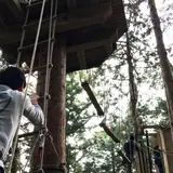 フォレストアドベンチャー・箱根