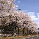 イギリス大使館