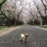 辰巳の森海浜公園 
