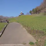 翠波高原