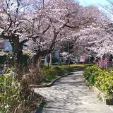 駒繋公園