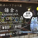 鎌倉乃フクロウの森
