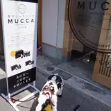 森のジェラテリアMUCCAこんぴら店