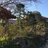 福光窯