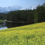 農園カフェ ラビット