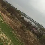 江戸川河川敷
