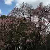 戸定邸