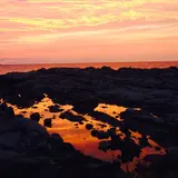 鴨ヶ浦