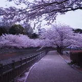 北部公園