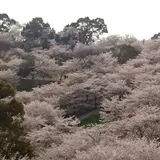 菊池市役所 総合体育館