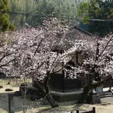 正観寺