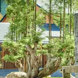 ROKU KYOTO, LXR HOTELS & RESORTS