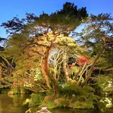 新井旅館