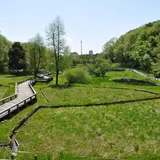 神代水生植物園