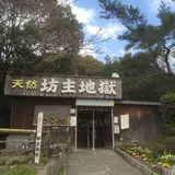 天然記念物坊主地獄